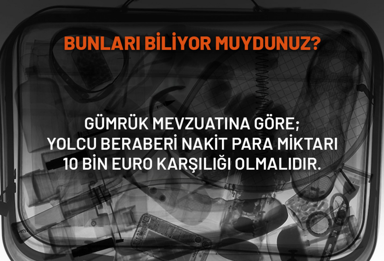 Gümrük Muhafaza Türkiye: Bunları Biliyor Muydunuz?
