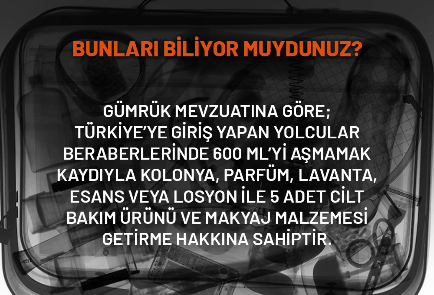 Gümrük Muhafaza Türkiye: Bunları Biliyor Muydunuz?