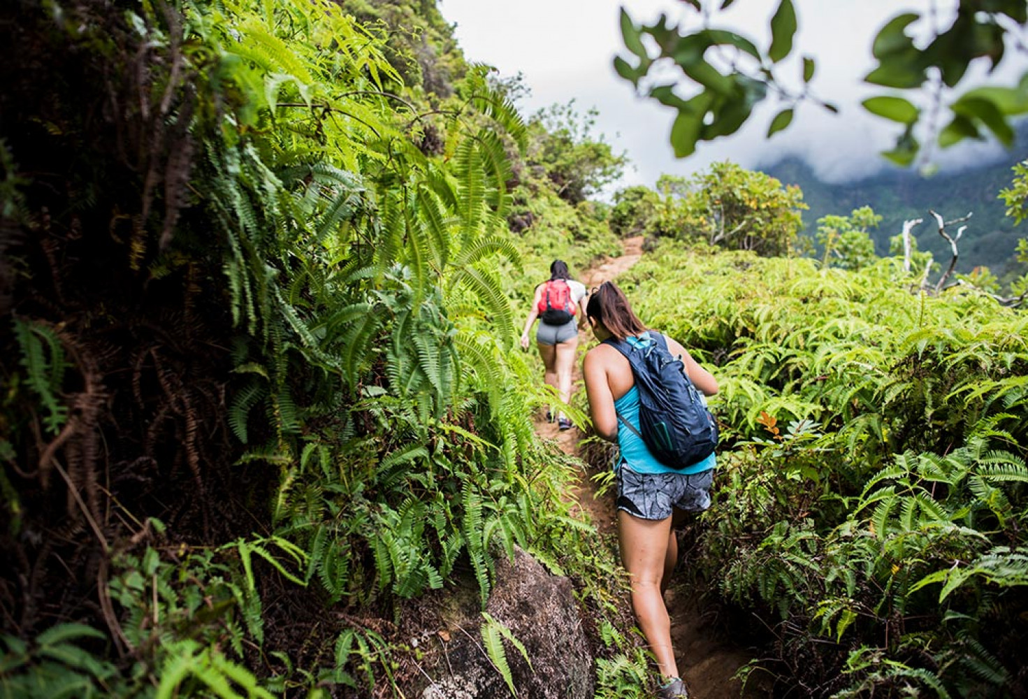 Hawaii hakkında 10 ilginç bilgi