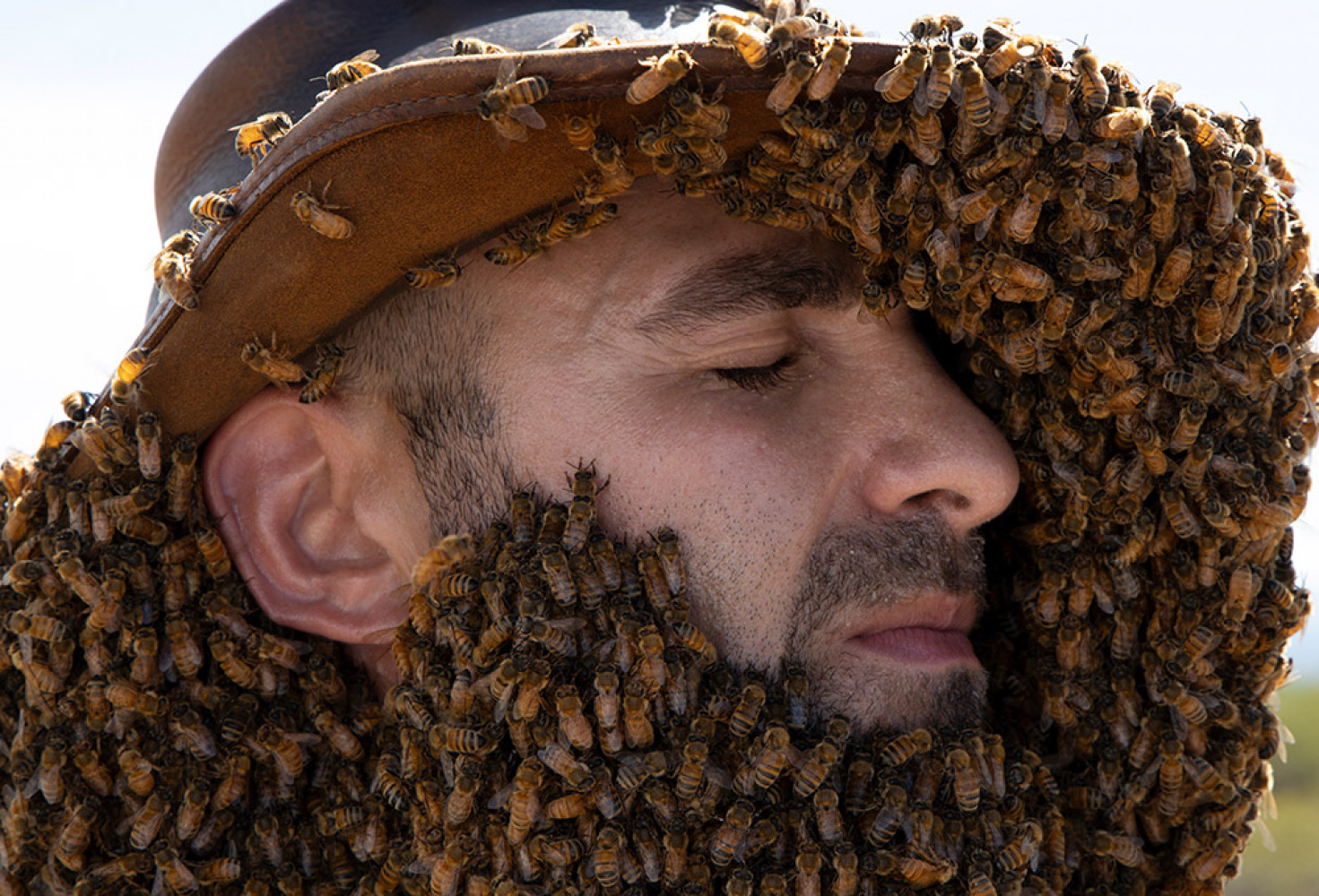 İnanılmaz deney: tüm yüzünü arılarla kapladı!