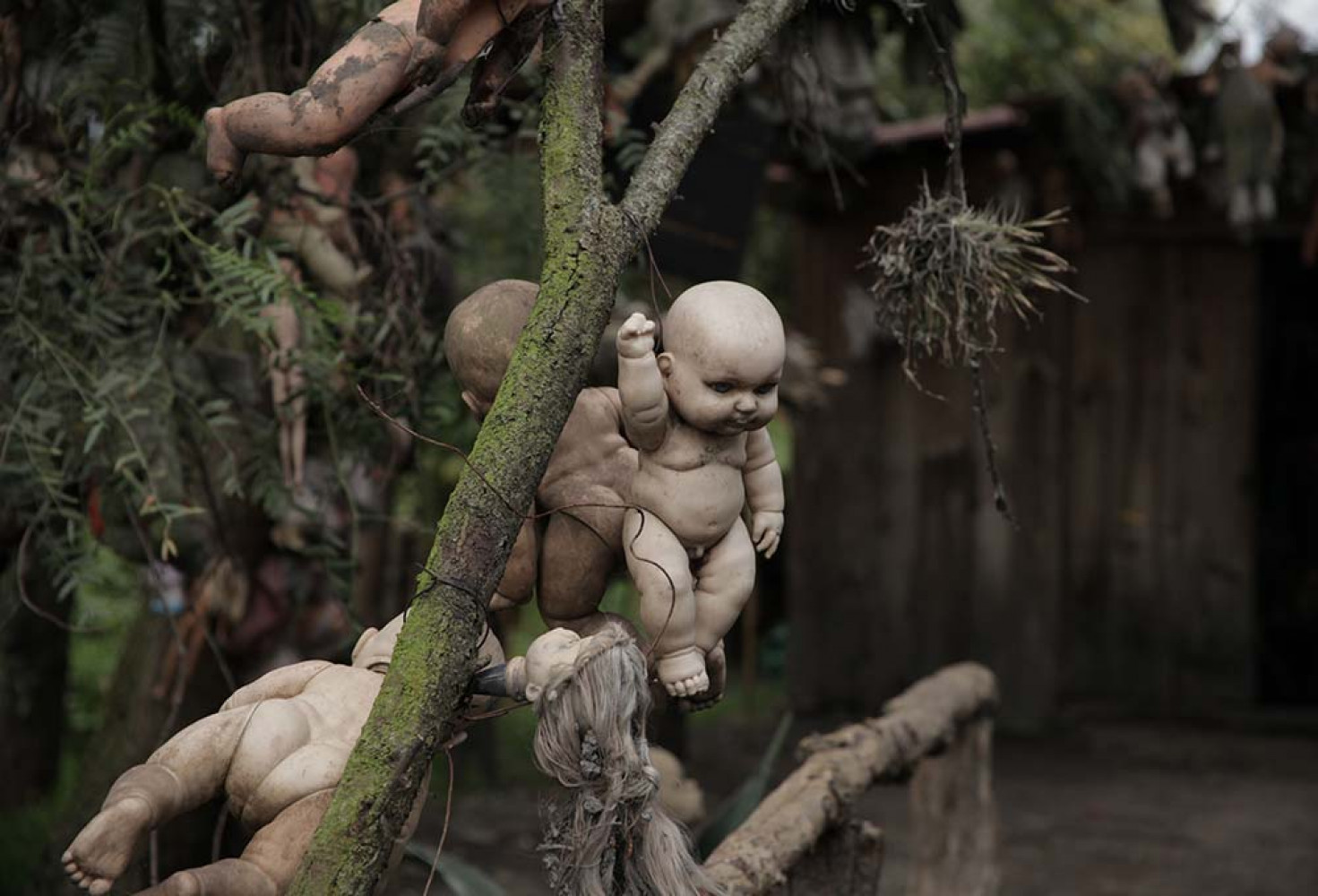 Lanetli Oyuncak Bebek Adası’nın hikayesi