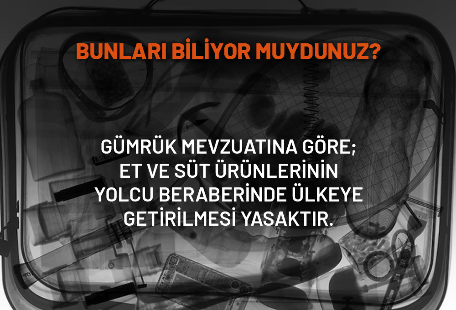 Gümrük Muhafaza Türkiye: Bunları Biliyor Muydunuz?