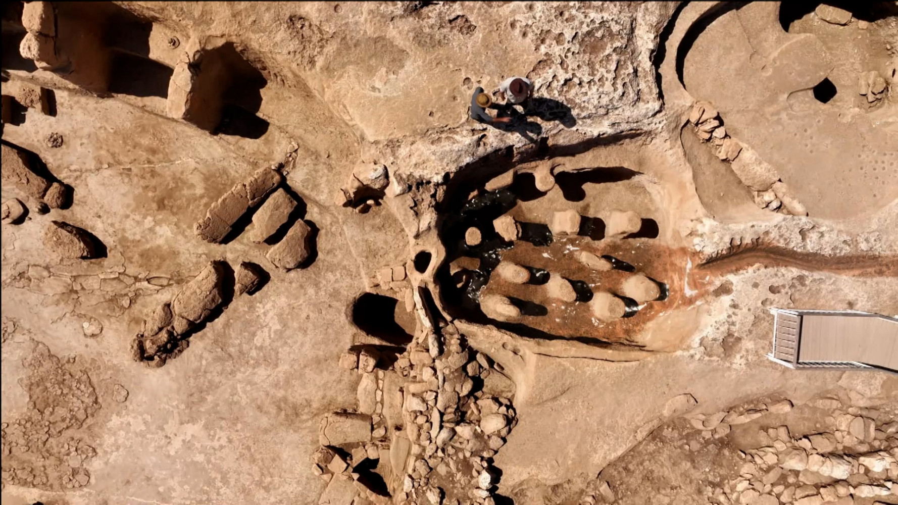 G&ouml;beklitepe ve Karahantepe: İnsanlık tarihinin sıfır noktasına yolculuk 