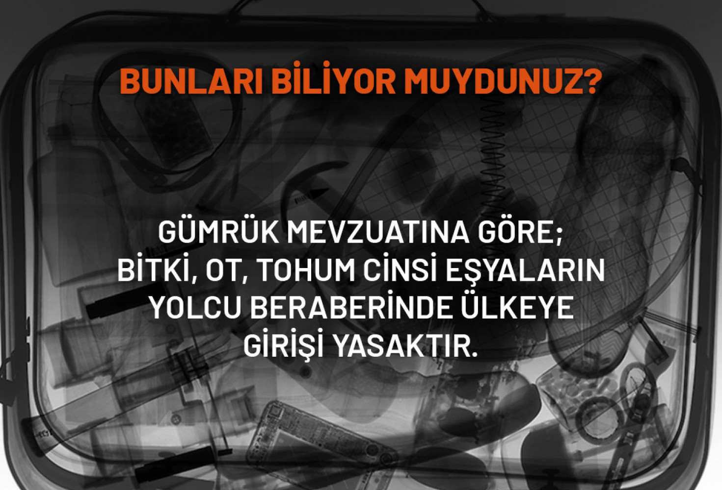 Gümrük Muhafaza Türkiye: Bunları Biliyor Muydunuz?