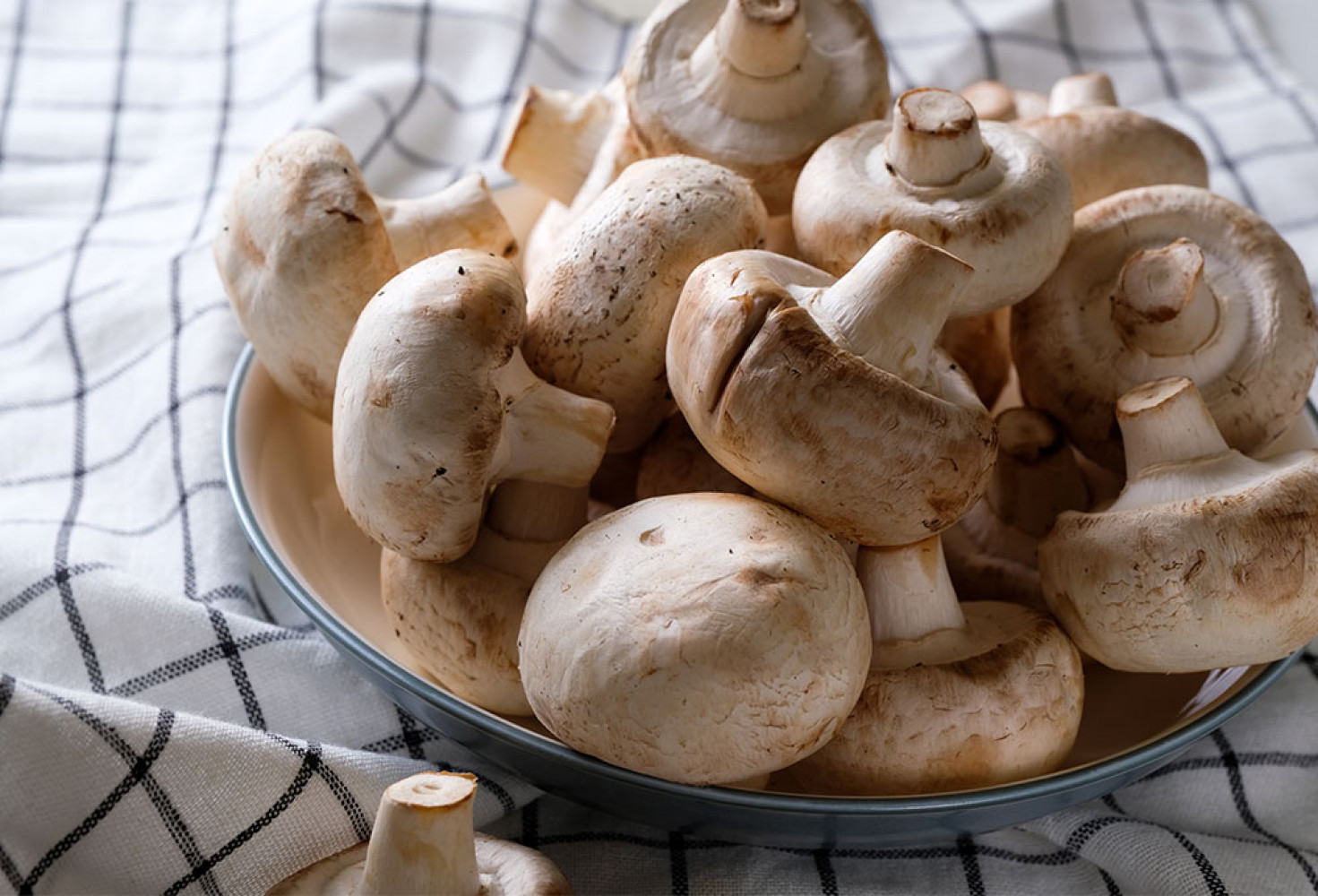 En zehirli mantar t&uuml;rleri 