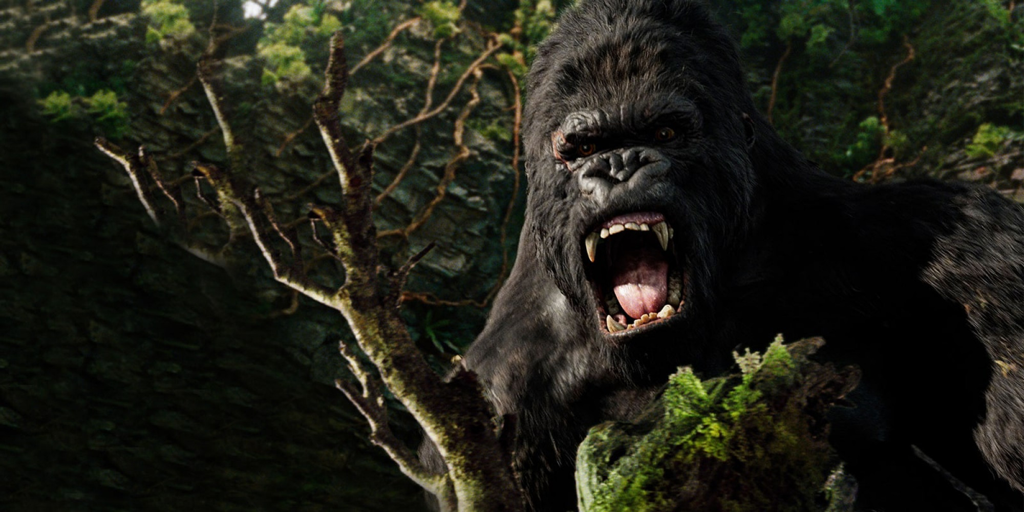 kingkong-desktop-min.jpg Şubat'ta DMAX'te hangi filmler var?