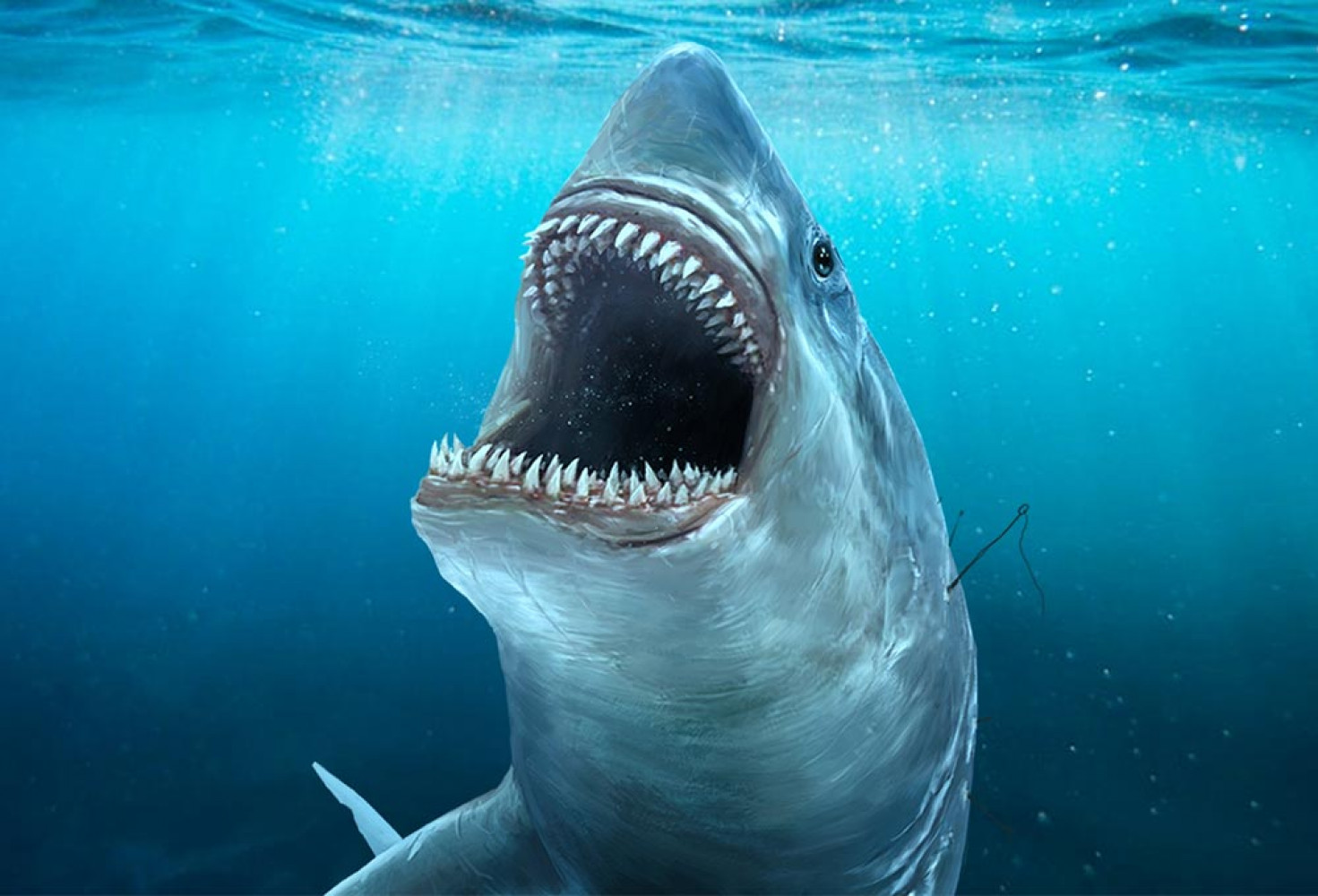 Okyanusların kayıp devi: Megalodon’un gizemi 