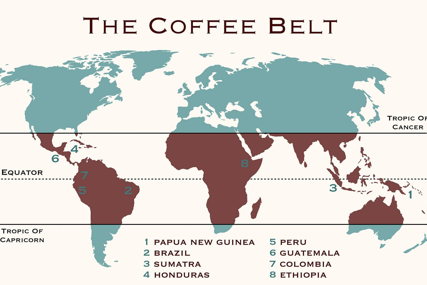 Kahve hakkında 10 ilginç bilgi