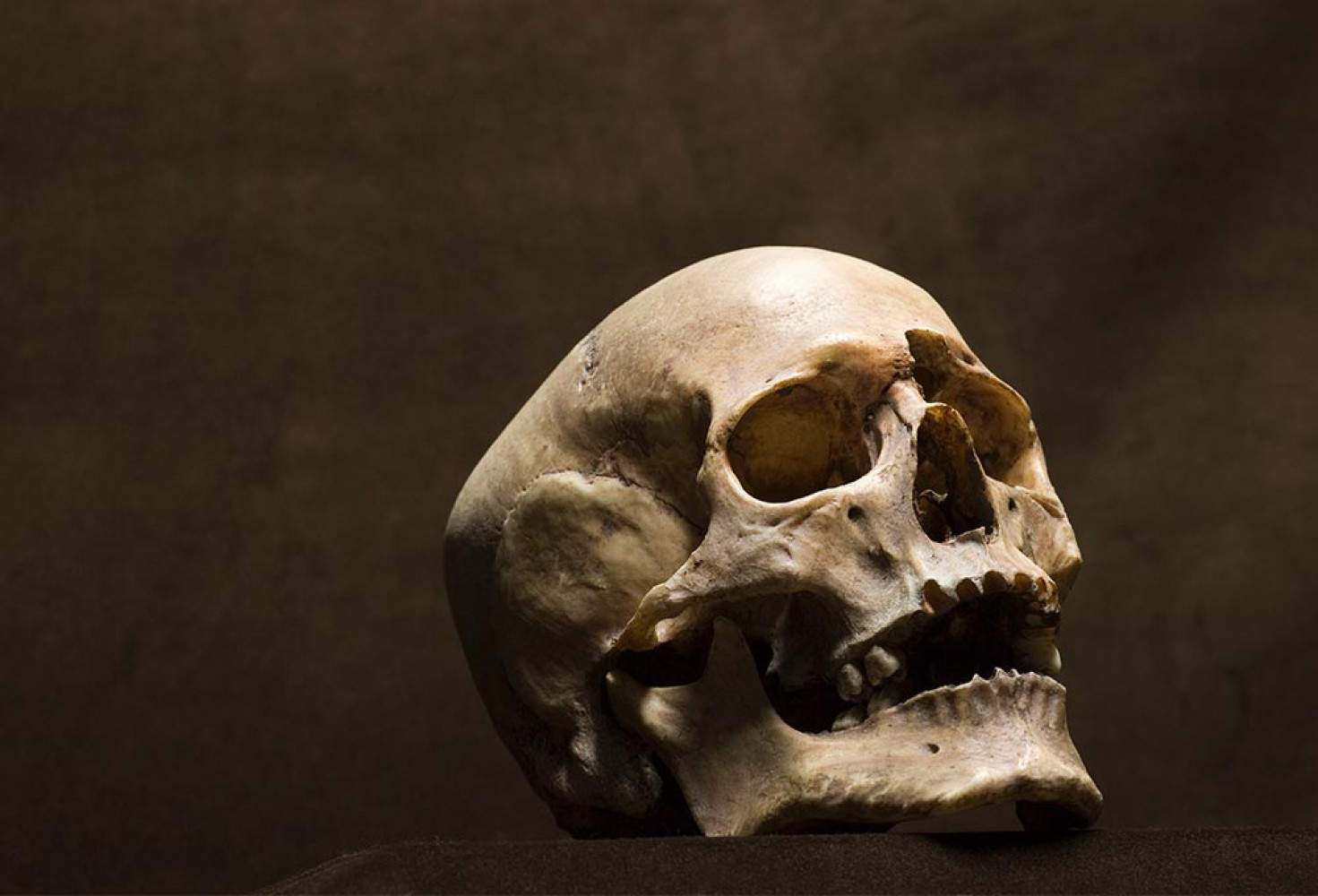 VIDEO: Antik İnka İmparatorluğu’nda bulunan kafataslarının sırrı