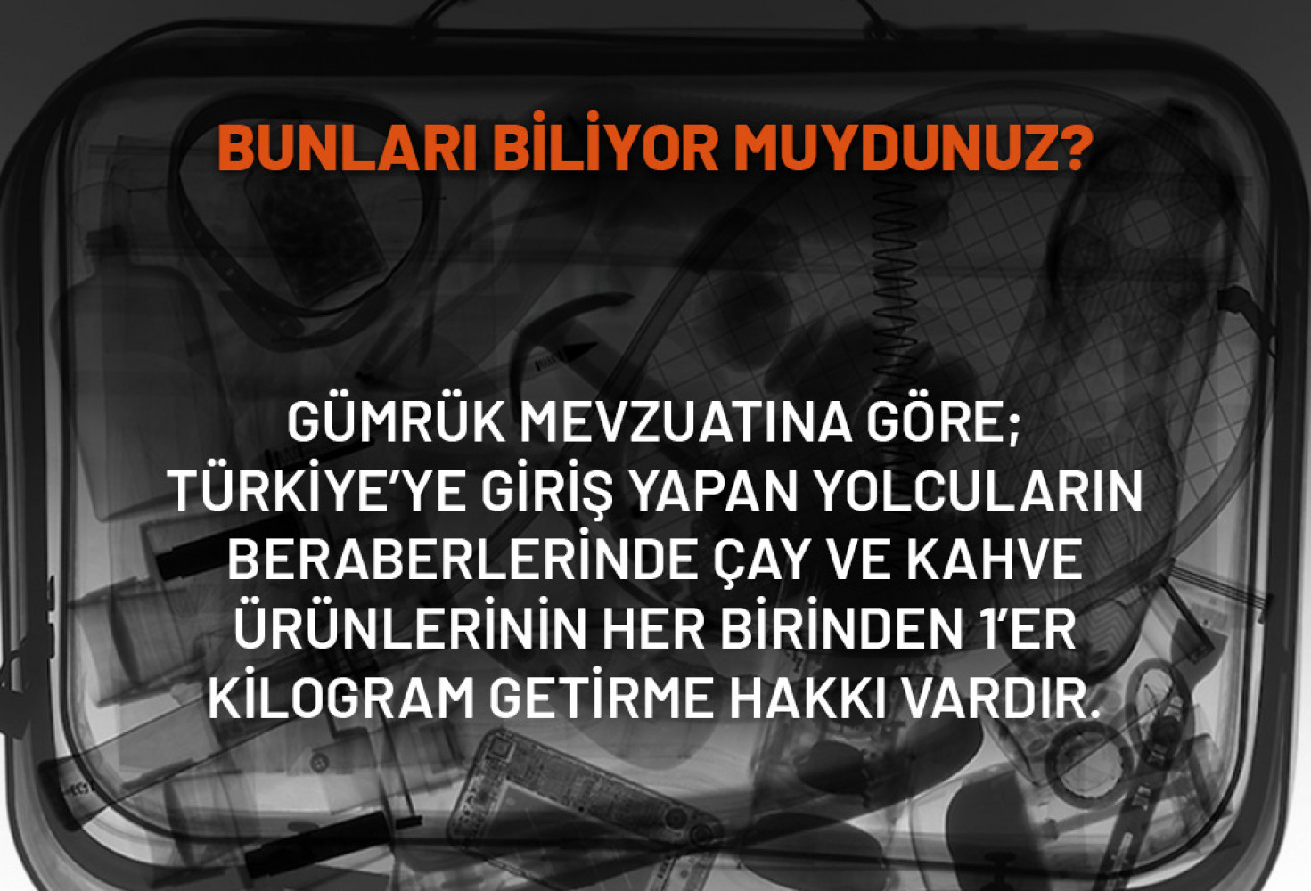 Gümrük Muhafaza Türkiye: Bunları Biliyor Muydunuz?