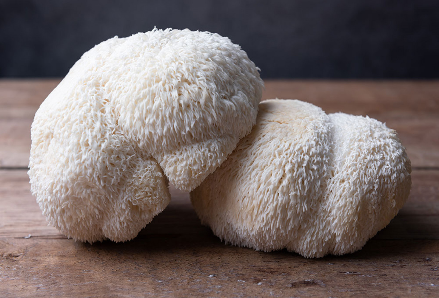 En zehirli mantar t&uuml;rleri 